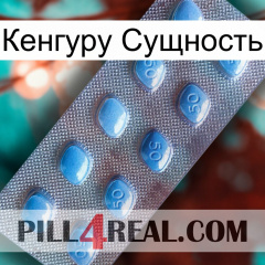 Кенгуру Сущность viagra3